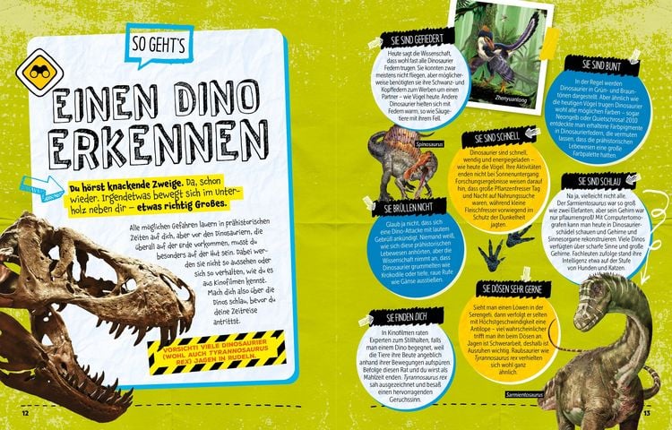 Produktbild: SURVIVAL GUIDE. Wie überlebst du im Zeitalter der DINOSAURIER!