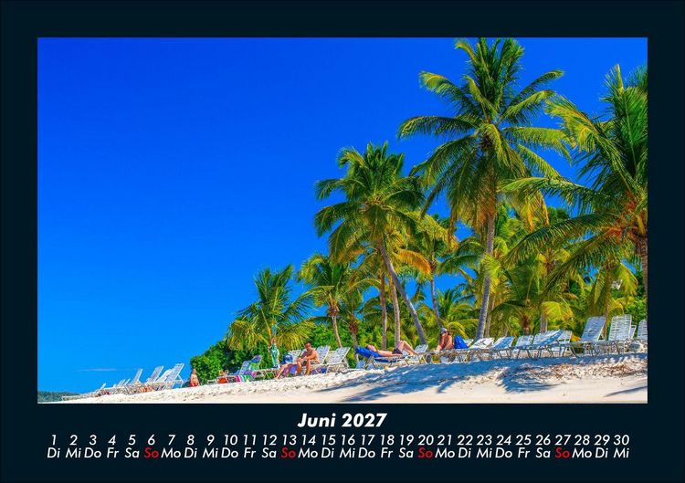 Produktbild: Palmentraum 2027 Fotokalender DIN A5