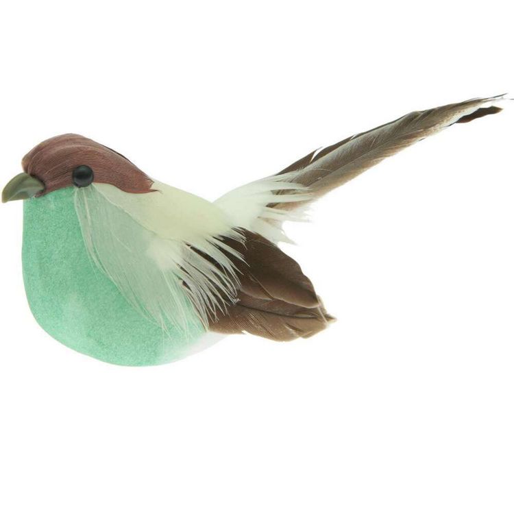Produktbild: Vogel, T&uuml;rkis