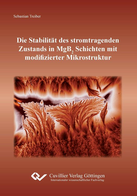 Produktbild: Die Stabilit&auml;t des stromtragenden Zustands in MgB2 Schichten mit modifizierter Mikrostruktur