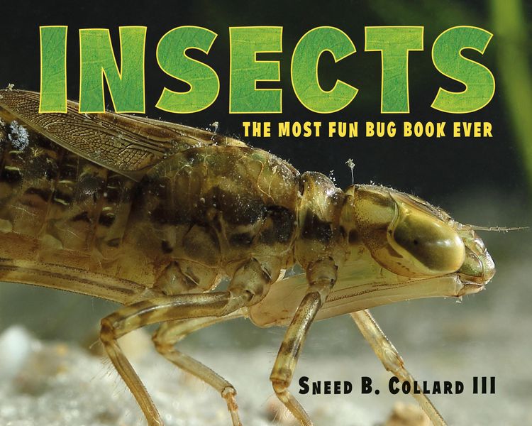 Produktbild: Insects
