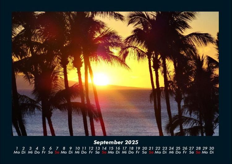 Produktbild: Palmentraum 2025 Fotokalender DIN A4