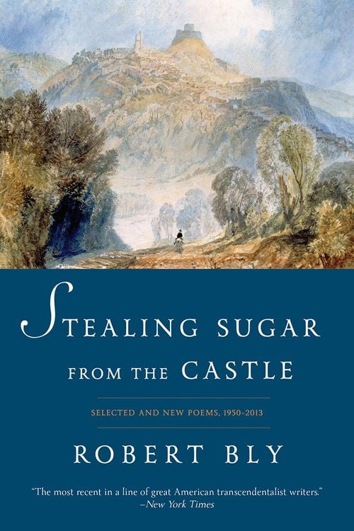 Produktbild: Stealing Sugar from the Castle