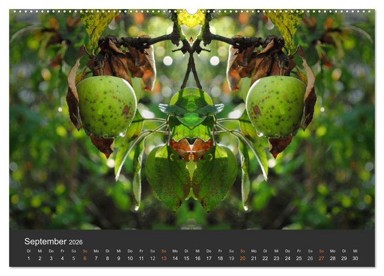 Produktbild: Spiegelwelten - Im Reich der Naturwesen (Wandkalender 2026 DIN A2 quer), CALVENDO Monatskalender