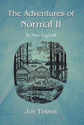 Produktbild: The Adventures of Normal II