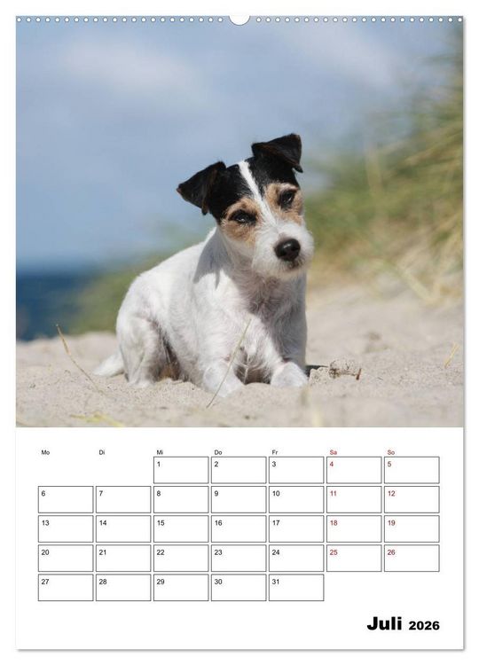 Produktbild: Tender Fellows - Parson Russell Terrier (Wandkalender 2026 DIN A2 hoch), CALVENDO Monatskalender