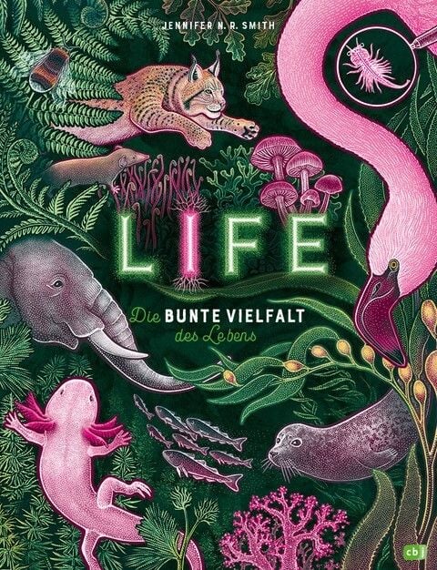 Produktbild: LIFE &ndash; Die bunte Vielfalt des Lebens