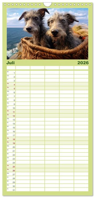 Produktbild: Familienplaner 2026 - Lurcher Portraits - Zwei Welpen entdecken die Welt mit 5 Spalten (Wandkalender, 21 x 45 cm) CALVENDO