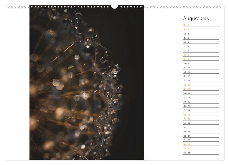 Produktbild: Kleine Wunder vor der Haust&uuml;r (hochwertiger Premium Wandkalender 2026 DIN A2 quer), Kunstdruck in Hochglanz