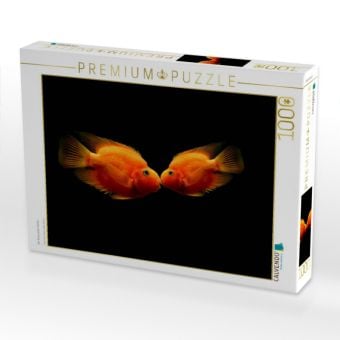 Produktbild: CALVENDO Puzzle Der Kuss zweier Fische | 1000 Teile Lege-Gr&ouml;&szlig;e 64x48cm Foto-Puzzle f&uuml;r gl&uuml;ckliche Stunden