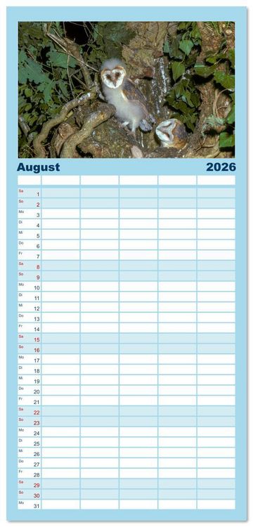 Produktbild: Familienplaner 2026 - Das Leben der Eulen, die Damen der Nacht mit 5 Spalten (Wandkalender, 21 x 45 cm) CALVENDO