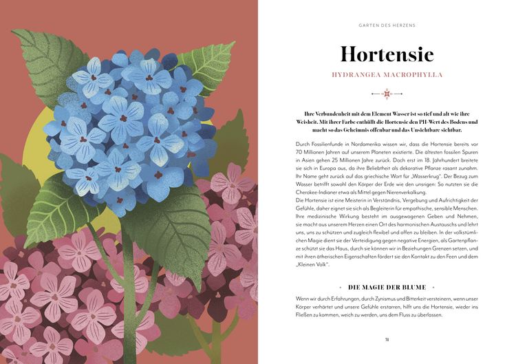 Produktbild: Blumen-Zauber
