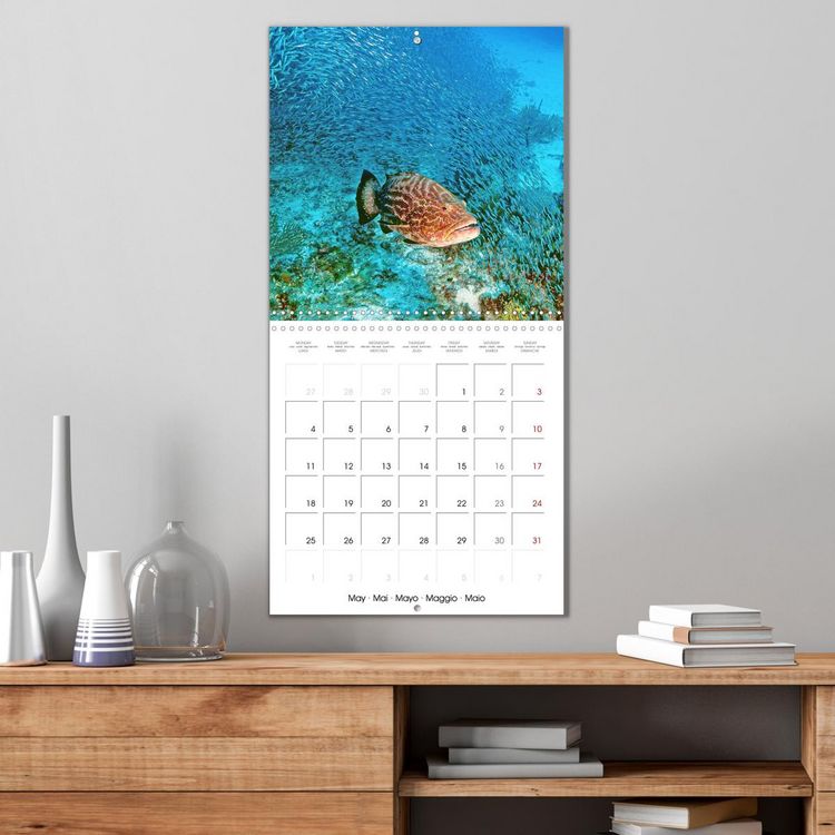 Produktbild: Diving in the deep blue sea (Wall Calendar 2026 12 &times; 12 Inch) CALVENDO 12 Month Wall Calendar
