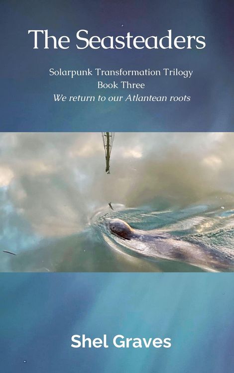 Produktbild: The Seasteaders (Solarpunk Transformation Trilogy, #1)