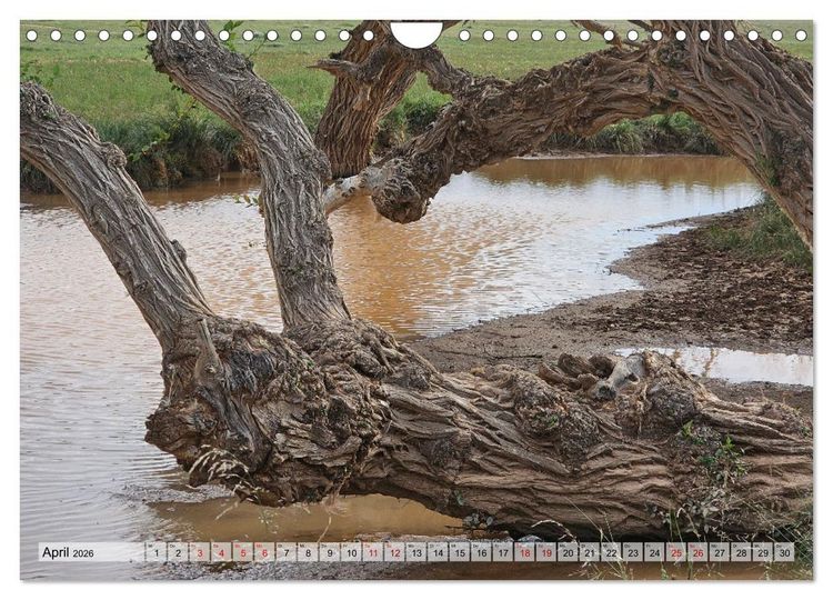 Produktbild: Nord-Gobi (Wandkalender 2026 DIN A4 quer), CALVENDO Monatskalender