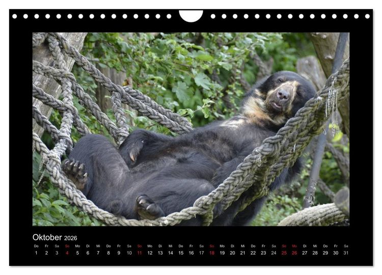 Produktbild: Bitte nicht st&ouml;ren... hier tr&auml;umen Tiere (Wandkalender 2026 DIN A4 quer), CALVENDO Monatskalender