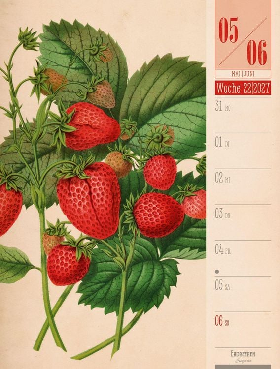 Produktbild: Culinarium Wochenplaner Kalender 2027 | K&uuml;che, Kr&auml;uter, Kurioses