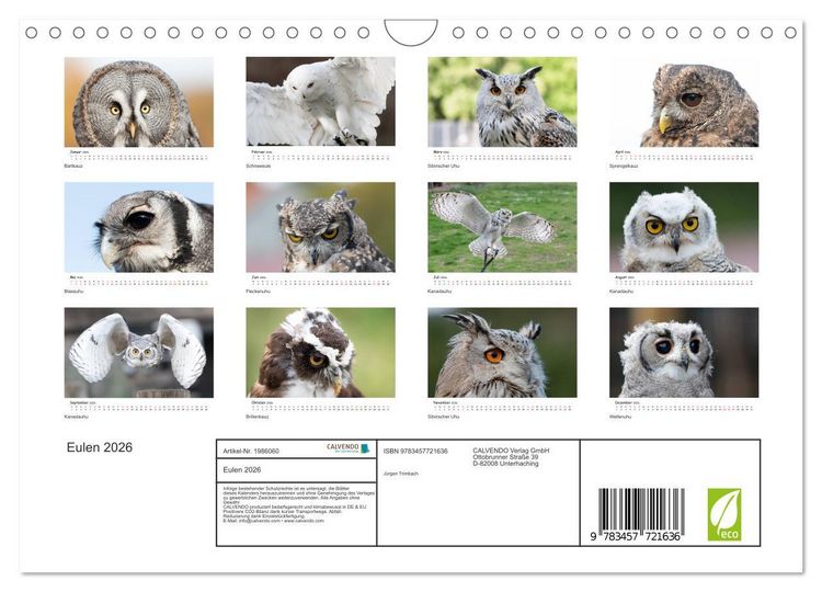 Produktbild: Eulen 2026 (Wandkalender 2026 DIN A4 quer), CALVENDO Monatskalender