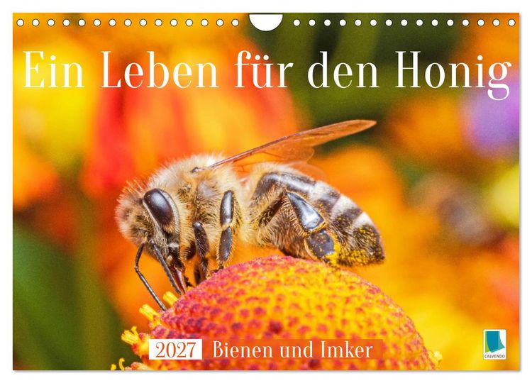 Produktbild: Ein Leben f&uuml;r den Honig: Bienen und Imker (Wandkalender 2027 DIN A4 quer), CALVENDO Monatskalender