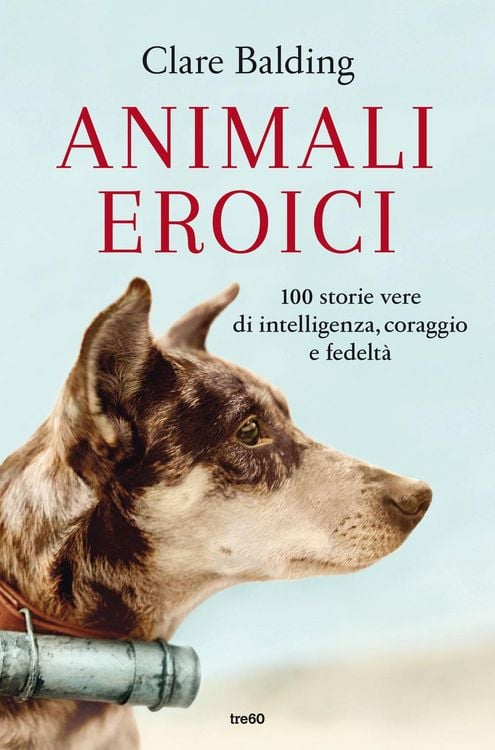 Produktbild: Animali eroici. 100 storie vere di intelligenza, coraggio e fedeltà