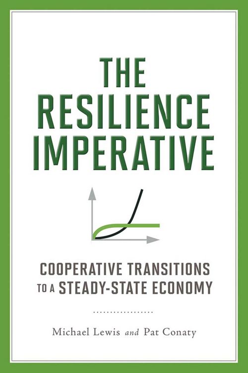 Produktbild: The Resilience Imperative