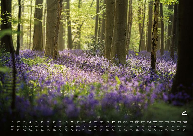 Produktbild: Wald - Erholung f&uuml;r Mensch und Tier - 2027 - Kalender DIN A2