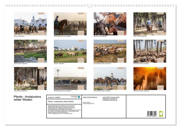 Produktbild: Pferde - Andalusiens wilder Westen (Wandkalender 2026 DIN A2 quer), CALVENDO Monatskalender