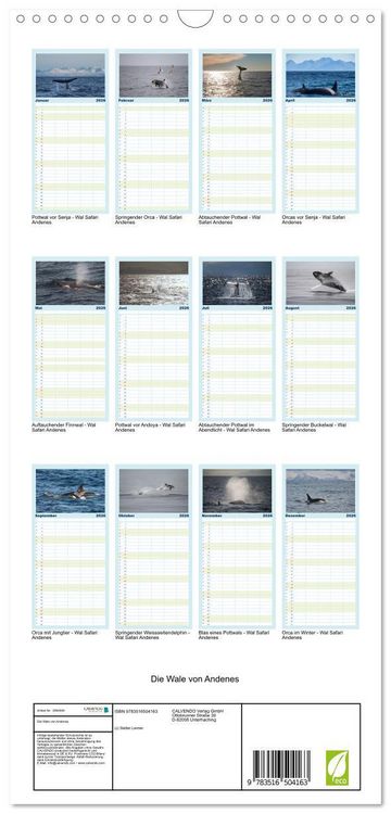 Produktbild: Familienplaner 2026 - Die Wale von Andenes mit 5 Spalten (Wandkalender, 21 x 45 cm) CALVENDO