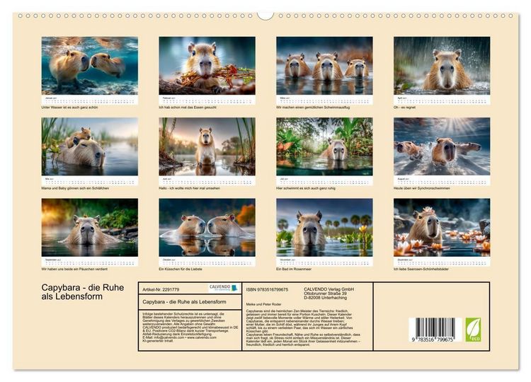 Produktbild: Capybara - die Ruhe als Lebensform (hochwertiger Premium Wandkalender 2027 DIN A2 quer), Kunstdruck in Hochglanz