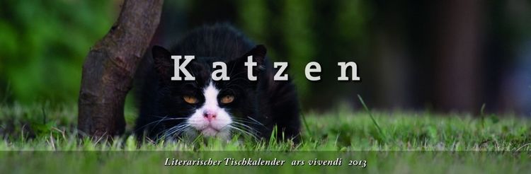 Produktbild: Literarischer Tischkalender Katzen 2013