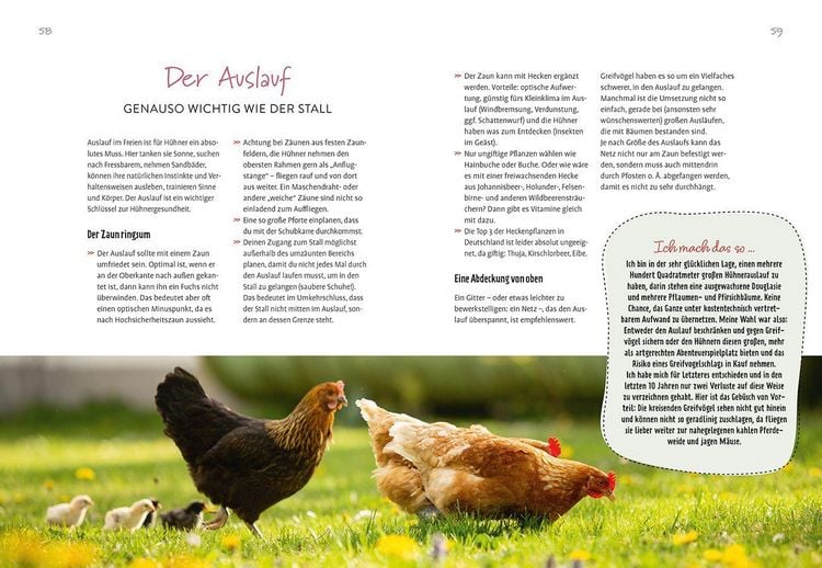 Produktbild: Im Garten gackert's