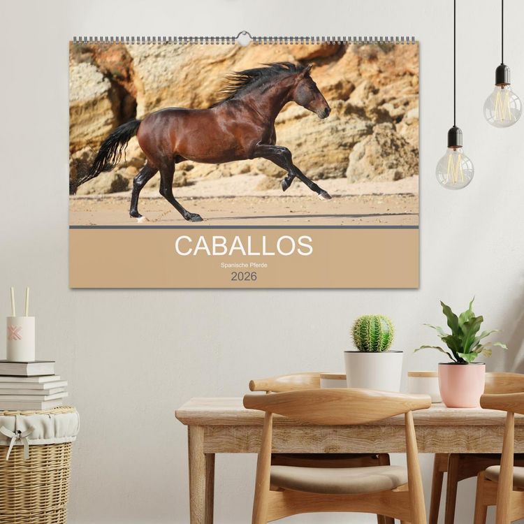 Produktbild: Caballos Spanische Pferde 2026 (Wandkalender 2026 DIN A2 quer), CALVENDO Monatskalender