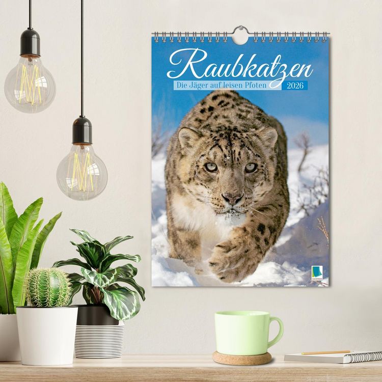 Produktbild: Raubkatzen: Die J&auml;ger auf leisen Pfoten (Wandkalender 2026 DIN A4 hoch), CALVENDO Monatskalender