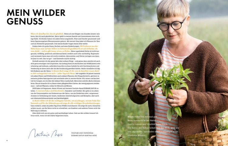 Produktbild: Wildkräuter – Bestimmen, Sammeln, Zubereiten