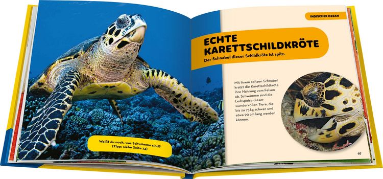 Produktbild: National Geographic Kids - Die tollsten Meerestiere