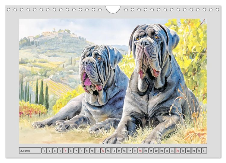 Produktbild: Mastino Napoletano. Die wuchtigen Molosser im Painting-Stil (Wandkalender 2026 DIN A4 quer), CALVENDO Monatskalender