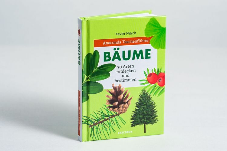 Produktbild: Anaconda Taschenf&uuml;hrer B&auml;ume. 70 Arten entdecken und bestimmen -