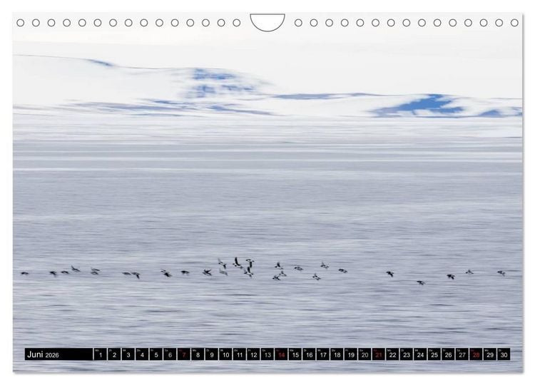 Produktbild: Spitzbergen - Arktische Impressionen (Wandkalender 2026 DIN A4 quer), CALVENDO Monatskalender