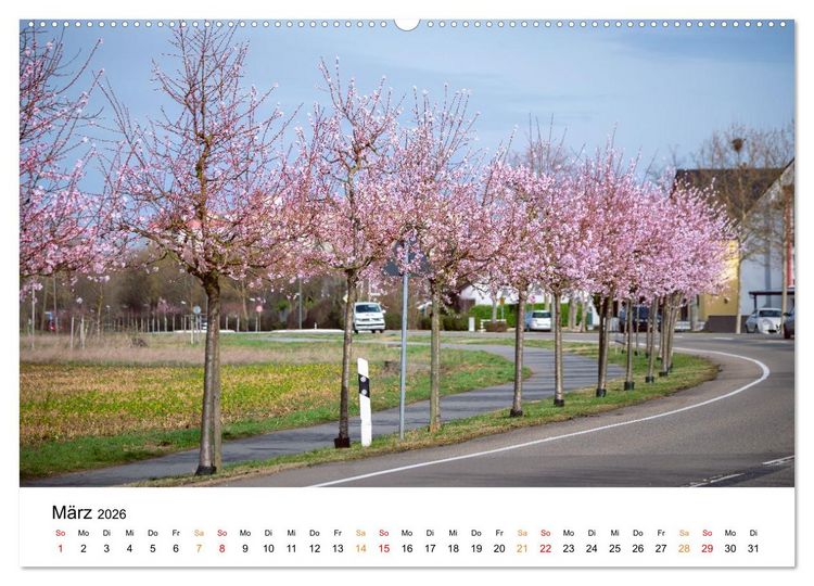 Produktbild: Die Hufeisengemeinde Br&uuml;hl (Wandkalender 2026 DIN A2 quer), CALVENDO Monatskalender
