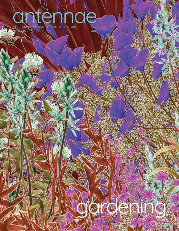 Produktbild: Antennae #68 Gardening 3