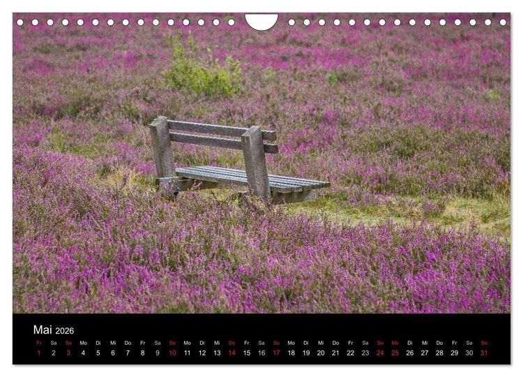 Produktbild: L&uuml;neburger Heide (Wandkalender 2026 DIN A4 quer), CALVENDO Monatskalender