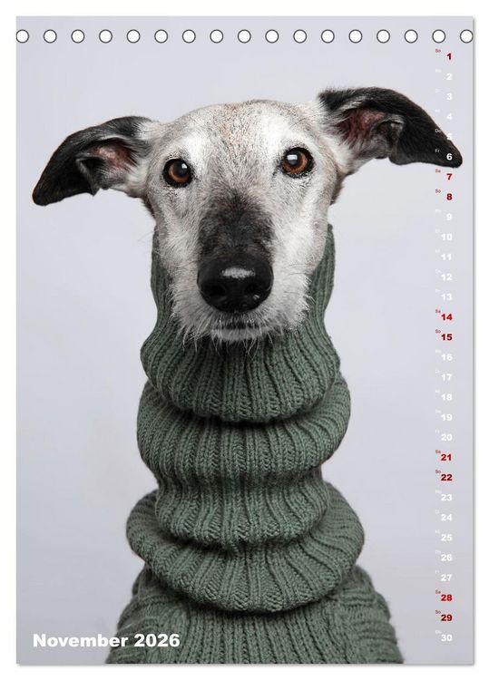 Produktbild: dogmuse deluxe (Tischkalender 2026 DIN A5 hoch), CALVENDO Monatskalender
