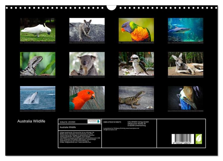 Produktbild: Australia Wildlife (Wandkalender 2026 DIN A3 quer), CALVENDO Monatskalender