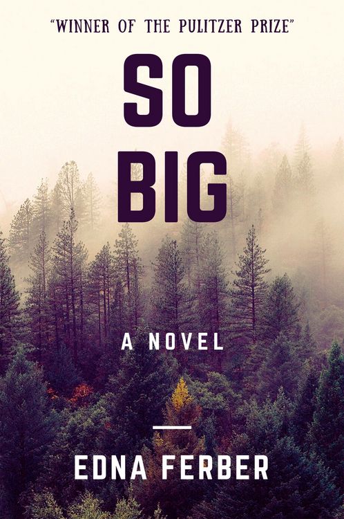 Produktbild: So Big (A Novel)