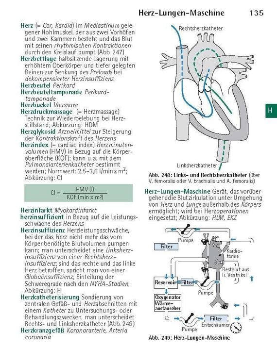 Produktbild: W&ouml;rterbuch Medizin pocket : Kleines Lexikon - medizinische Fachbegriffe , Fremdw&ouml;rter und Terminologie