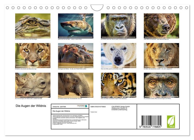 Produktbild: Die Augen der Wildnis (Wandkalender 2027 DIN A4 quer), CALVENDO Monatskalender