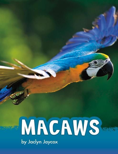 Produktbild: Macaws