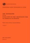 Produktbild: Vol 25 IARC Monographs