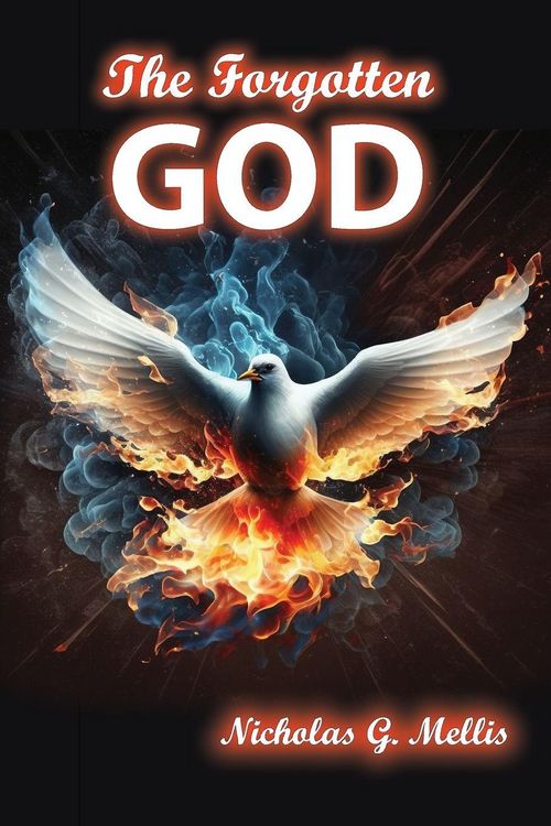Produktbild: The Forgotten God