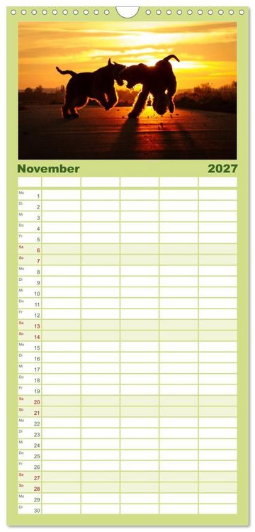 Produktbild: Familienplaner 2027 - Airedale-Terrier, was sonst! mit 5 Spalten (Wandkalender, 21 x 45 cm) CALVENDO